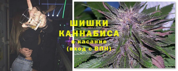 стаф Богданович